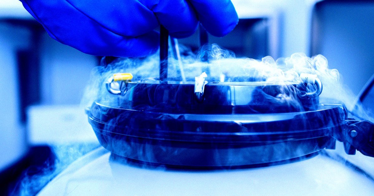 Scientists Bring Mouse Brains Back to Life After "Cryosleep" Deep Freeze