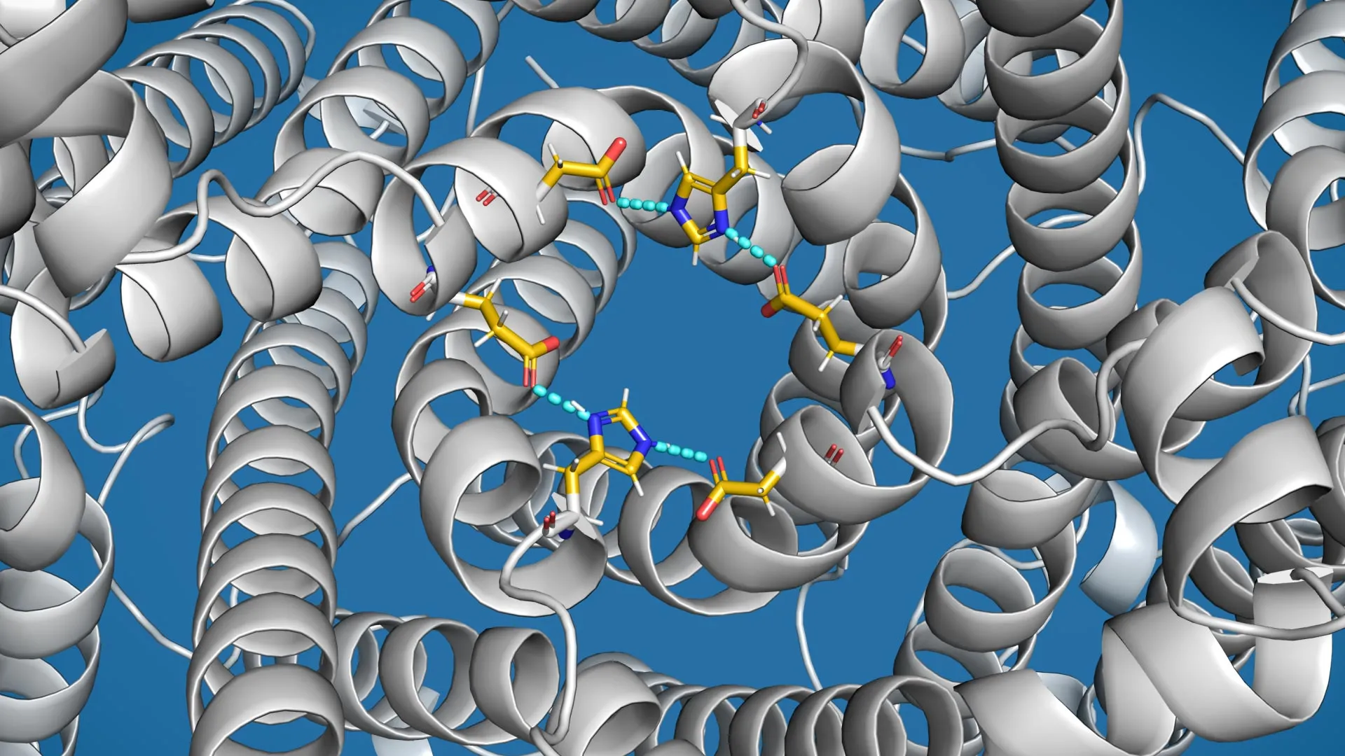 Scientists discover “overflow valve” in cells linked to Parkinson’s Disease