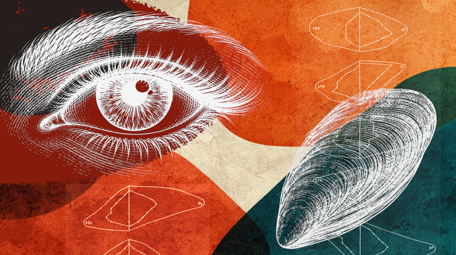 The color statistic that’s been wrong for 80 years