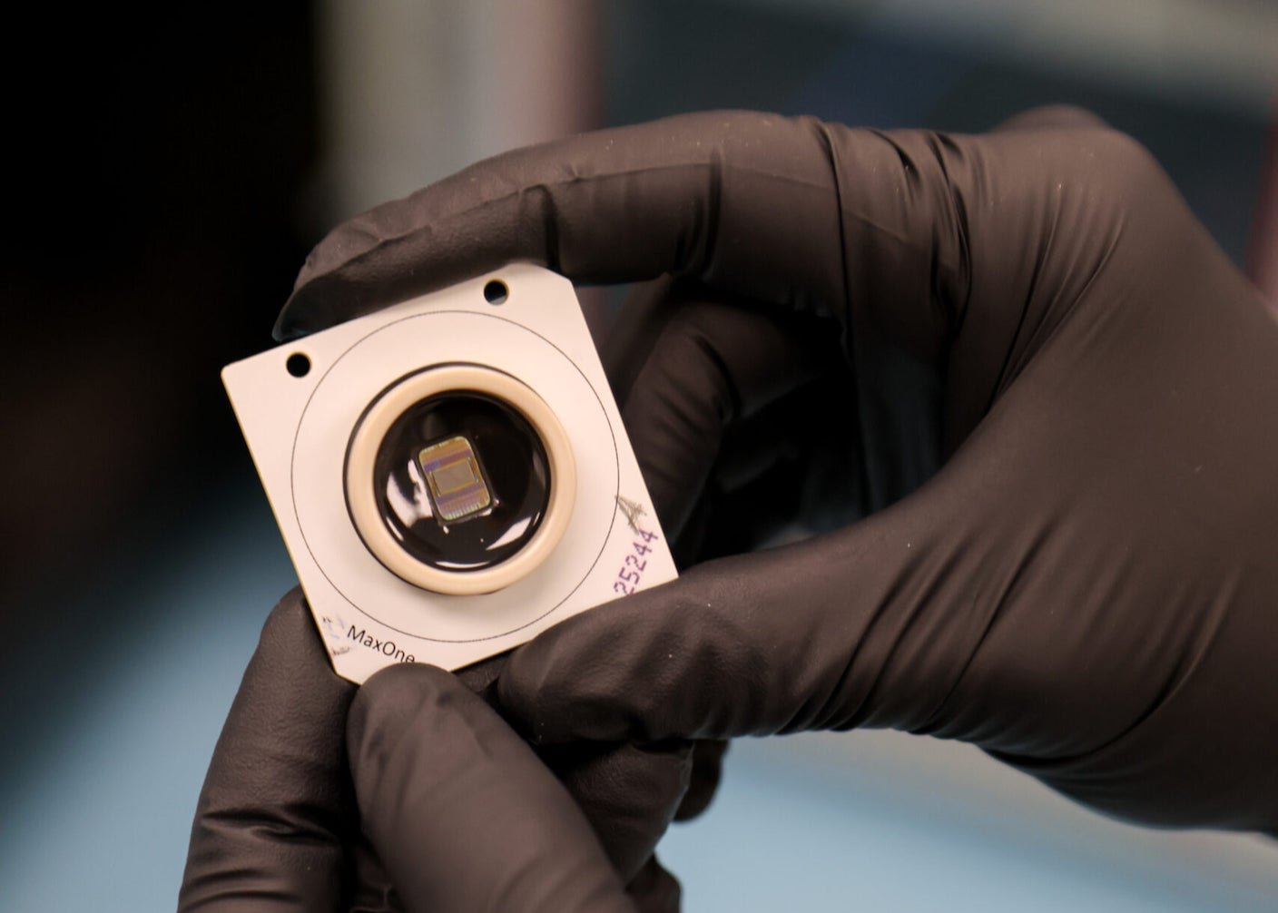 These Mini Brains Just Learned to Solve a Classic Engineering Problem