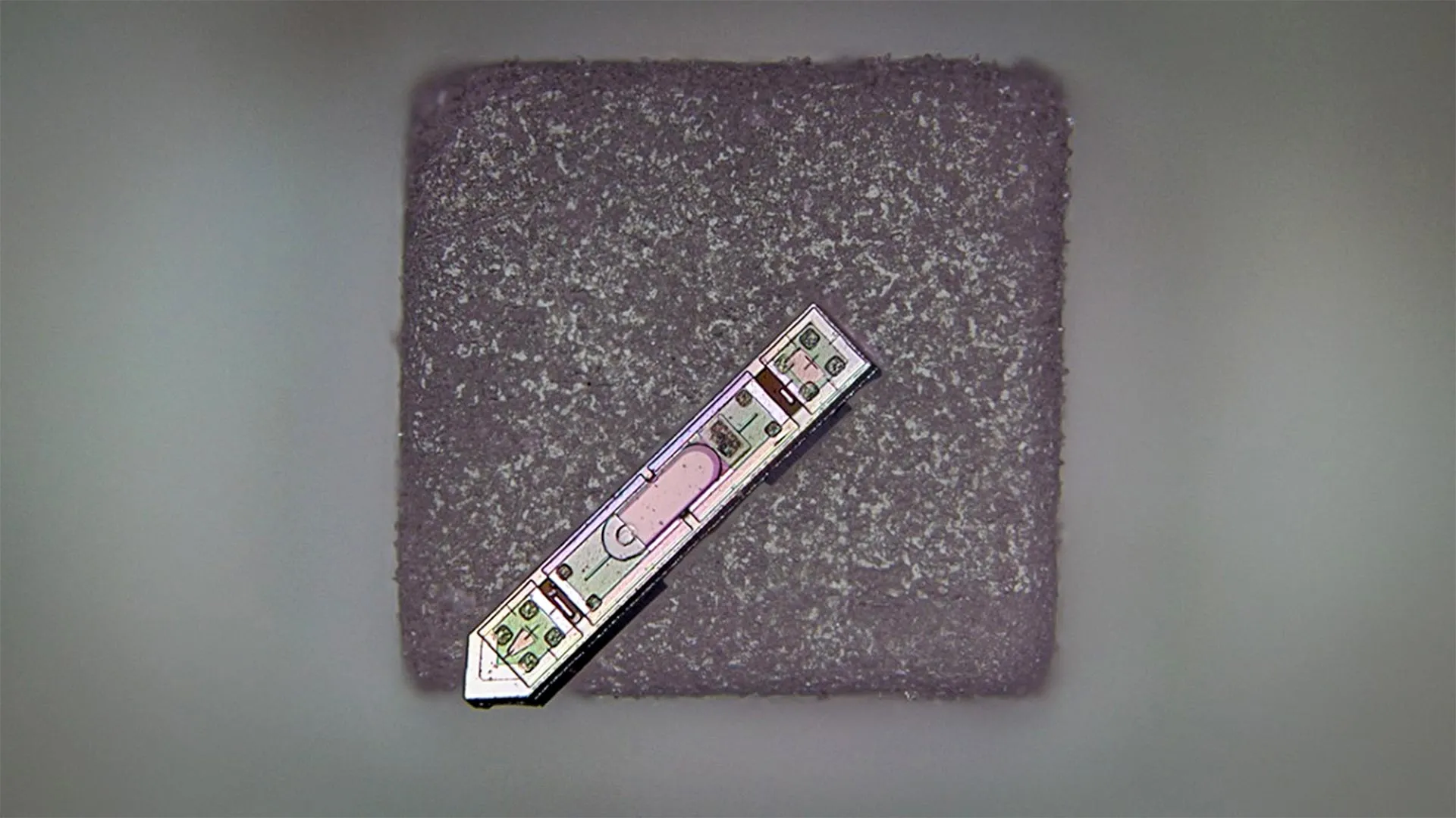 This tiny implant, smaller than a grain of salt, can read your brain