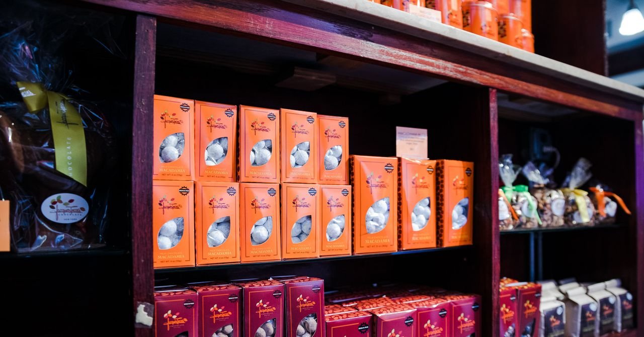 WIRED Article Production automation page/Only for QA/Do not click/Do not publish