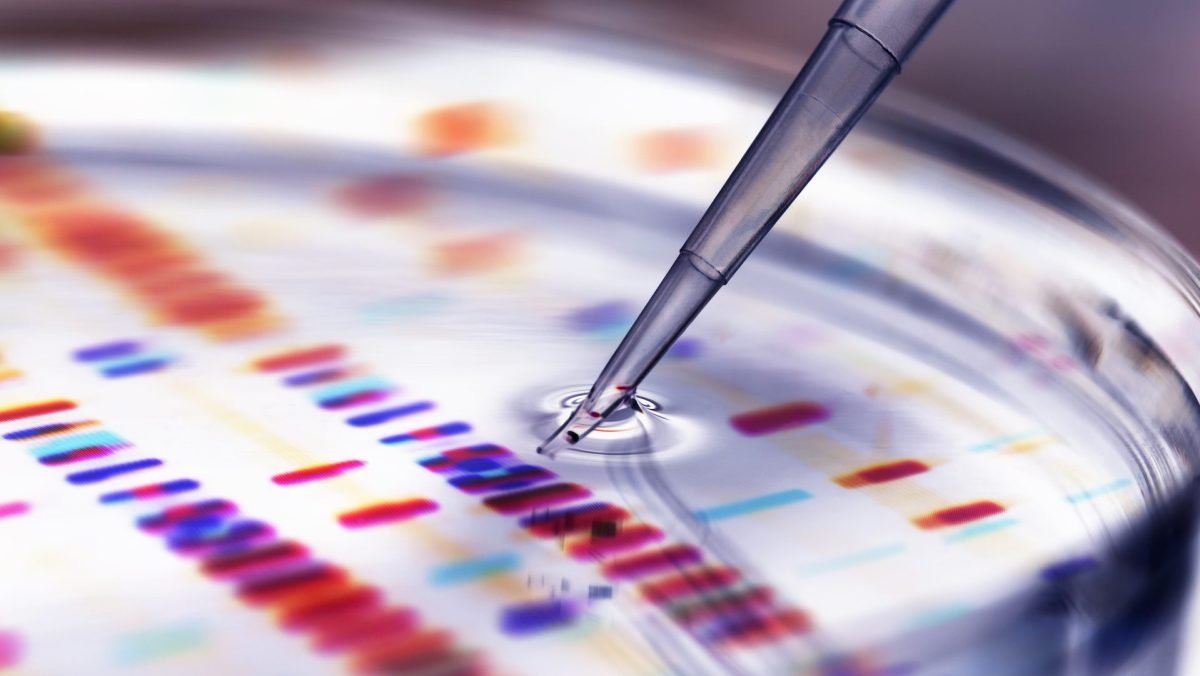 Pipette adding sample to petri dish with DNA profiles in background