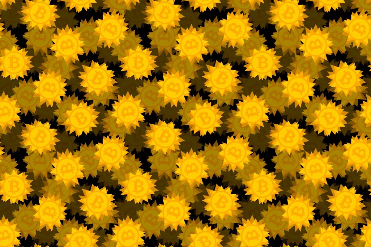 gold bitcoin logos featured on spiky-shaped coins on a darkened black background