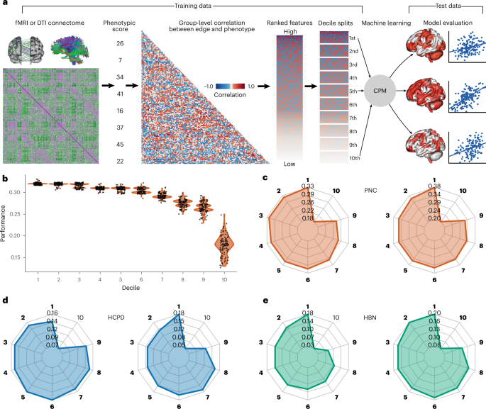 Feature selection leads to divergent neurobiological interpretations of brain-based machine learning biomarkers