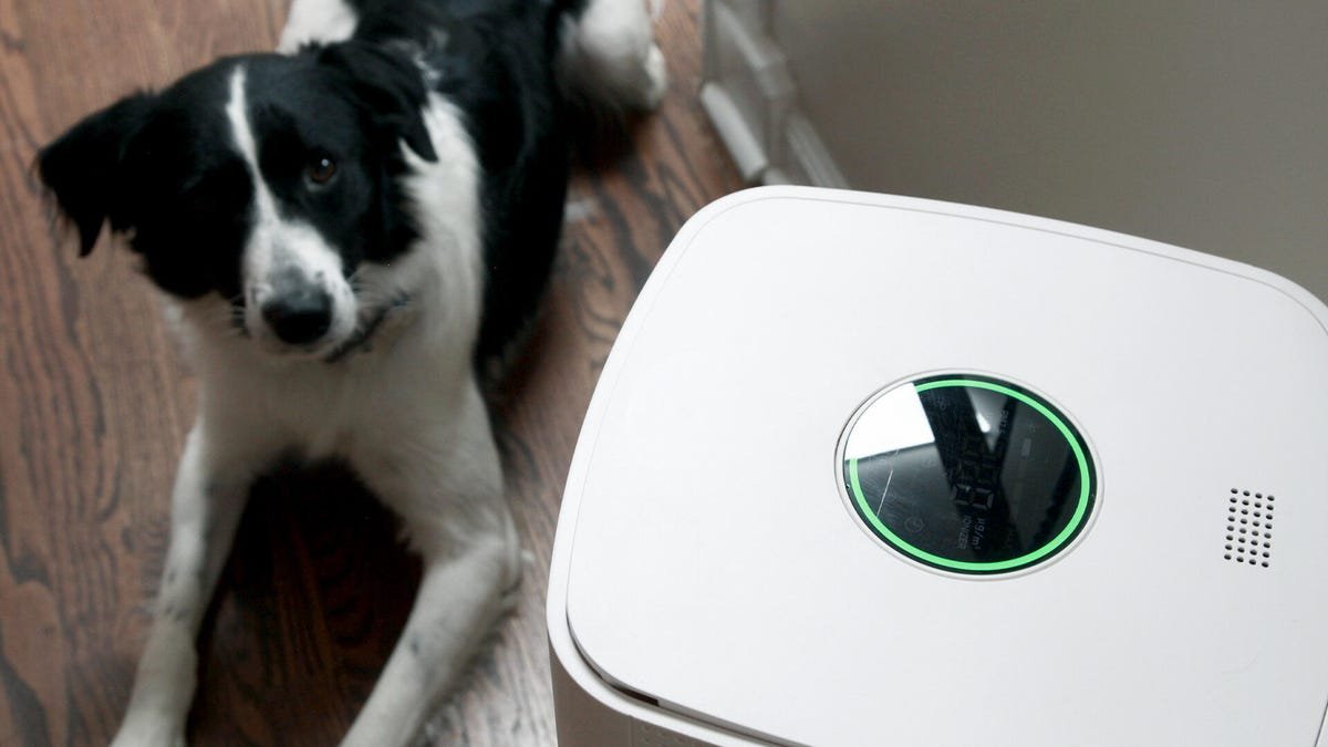 I tested every 'allergy-friendly' smart home gadget - these 6 actually keep the pollen out