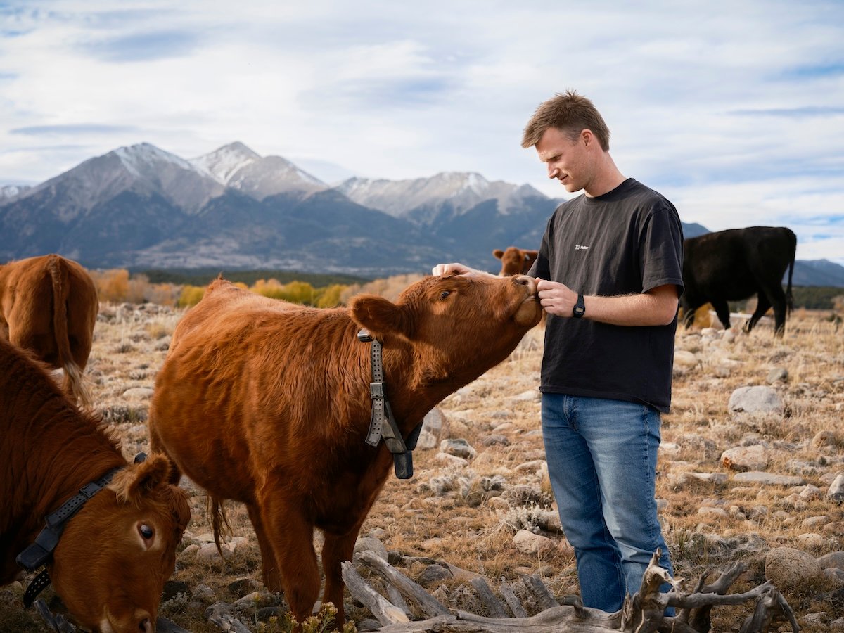 Peter Thiel's big bet on solar-powered cow collars
