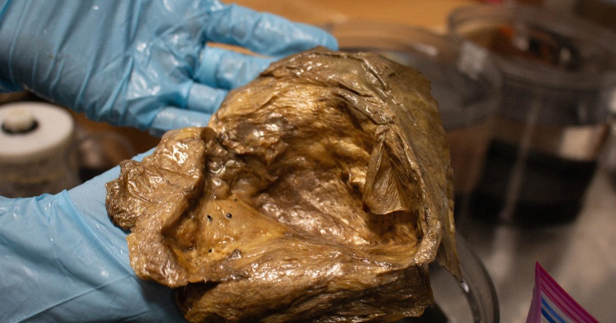 Scientists Say They've Figured Out What That Golden Orb Found at the Bottom of the Pacific Ocean Actually Was