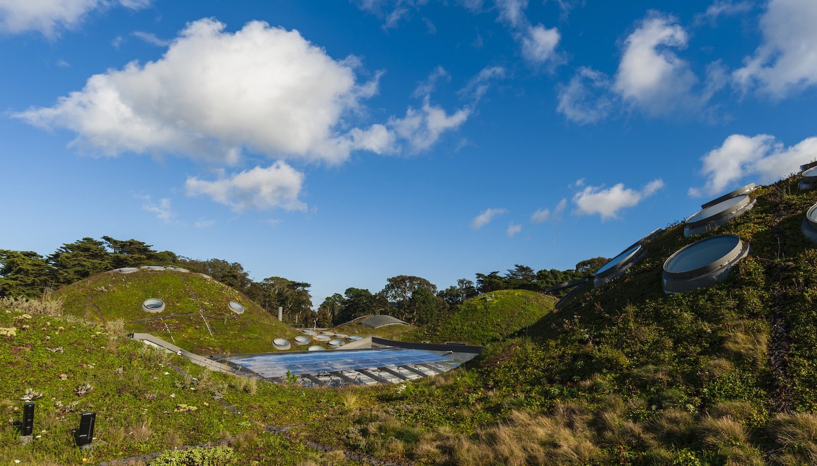 The huge, untapped potential of planting rooftop gardens in cities