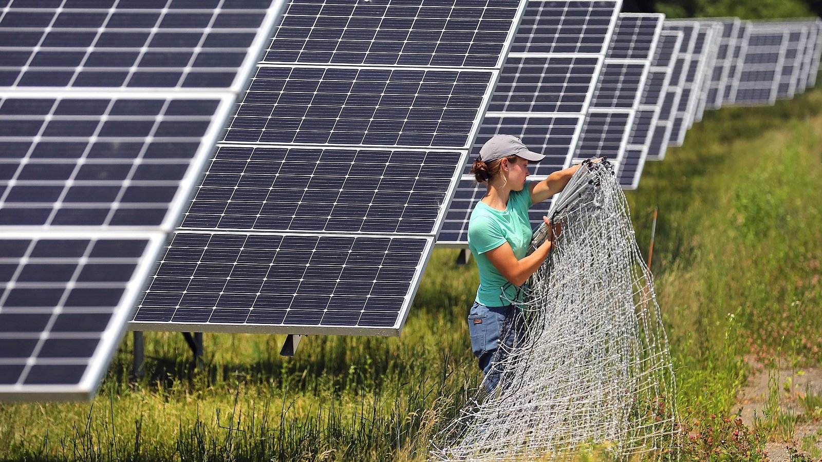 The state of solar: Despite partisan rhetoric, the industry is still booming