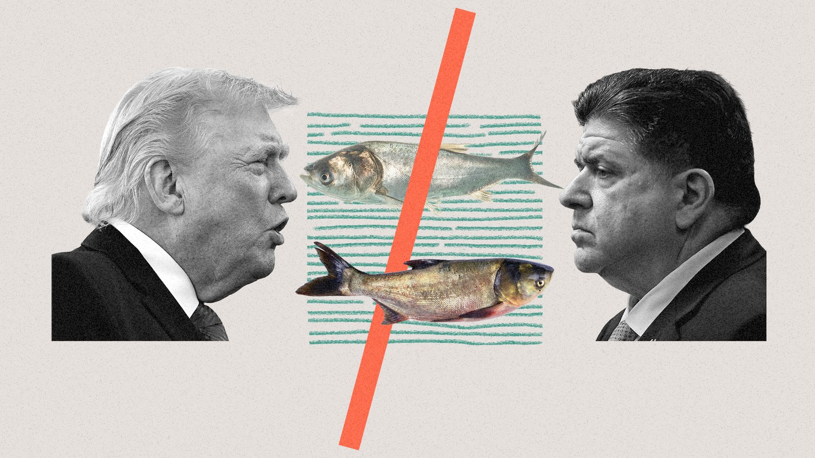 Trump and the Illinois governor keep feuding over an invasive fish