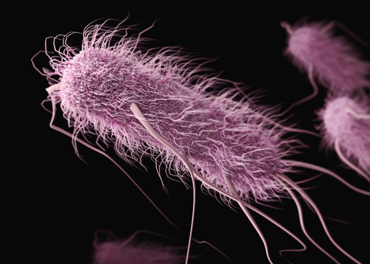 All Life Uses 20 Amino Acids. Scientists Just Deleted One in Bacteria.