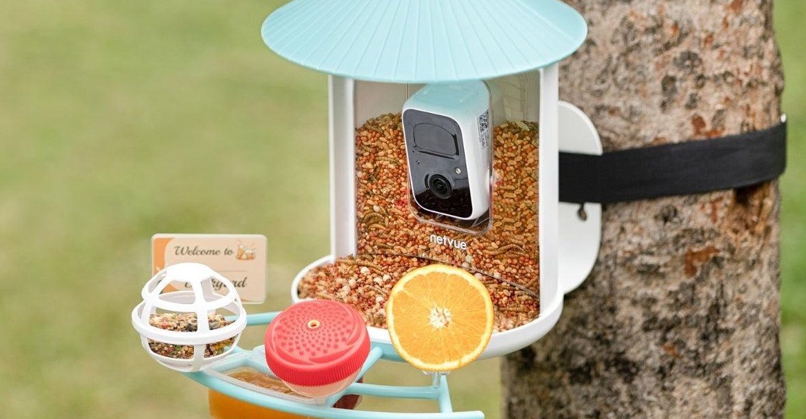 Birdfy’s smart bird feeder is down to its best-ever price for Mother’s Day