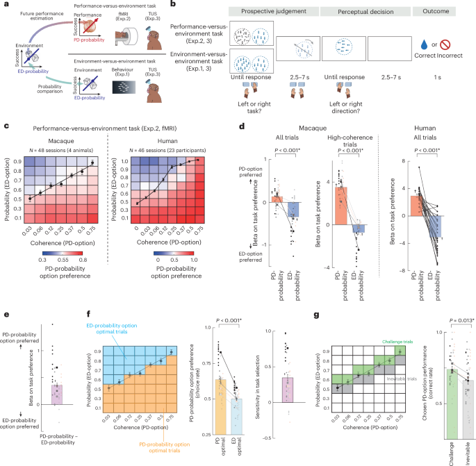 Brain activity, disruption and connectivity comparisons identify origins of human metacognition in other primates
