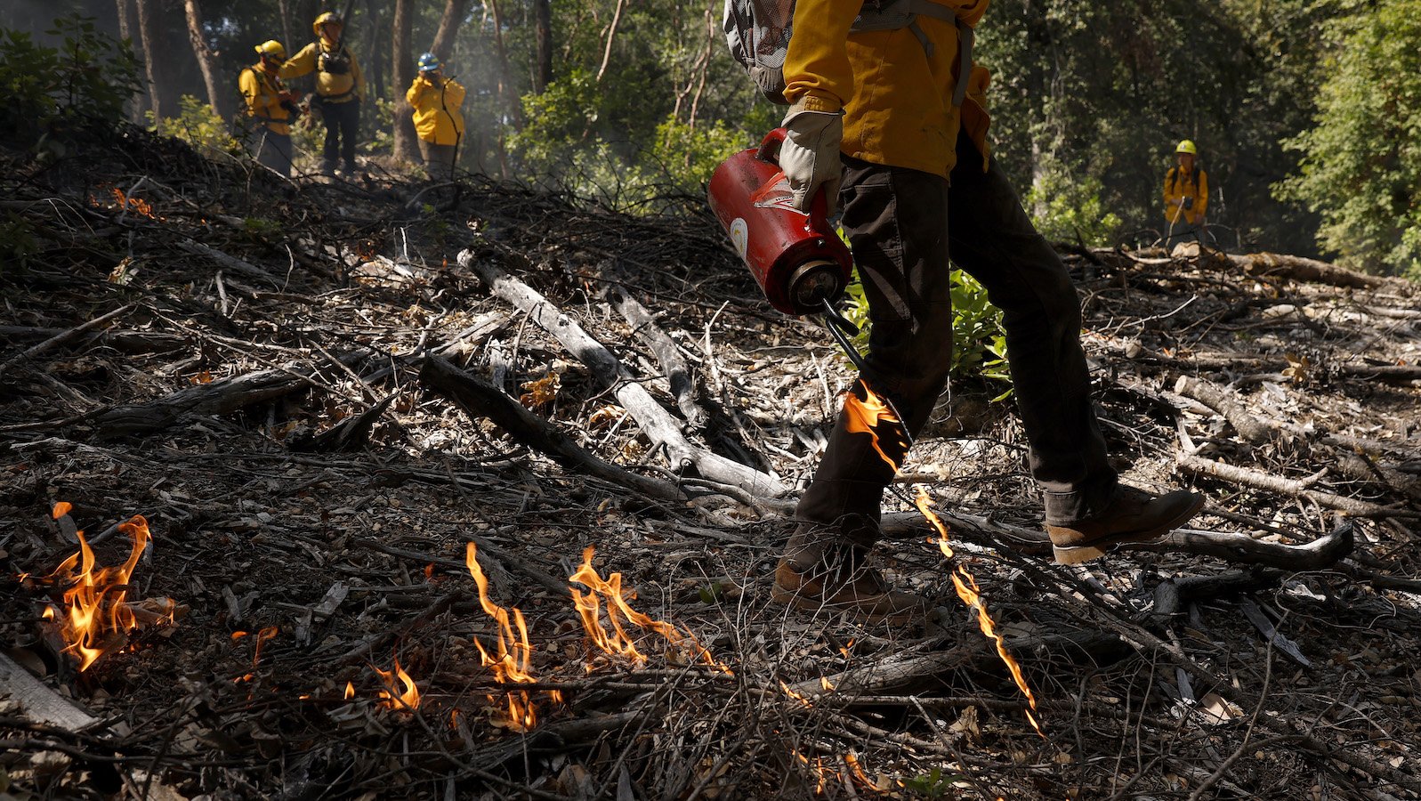 How controlled burns can help save taxpayers billions