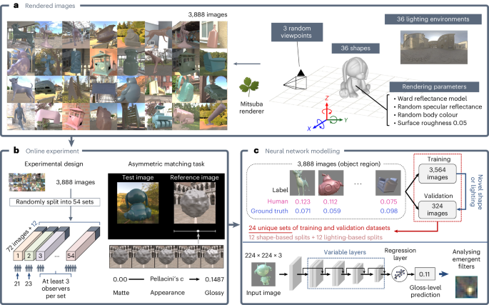 Human gloss perception reproduced by tiny neural networks