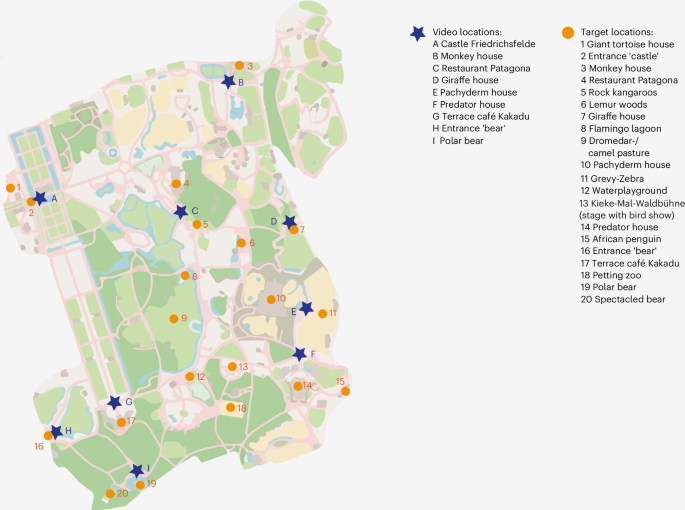 Long-term memory reorganization of navigational episodes