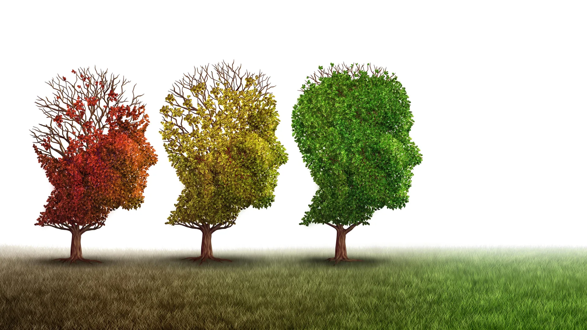 Copper drug clears toxic Alzheimer’s proteins and restores memory