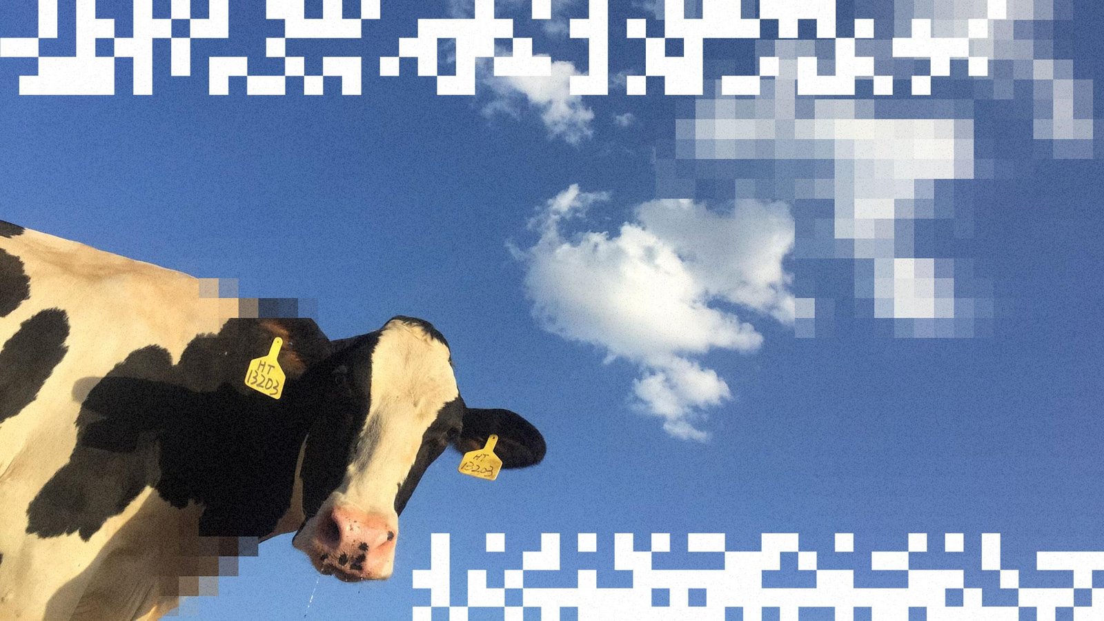 Cow manure could be the next data center fuel