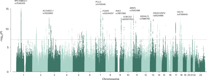 Genome-wide meta-analysis of quantitatively measured generalized anxiety symptoms in individuals of European ancestry