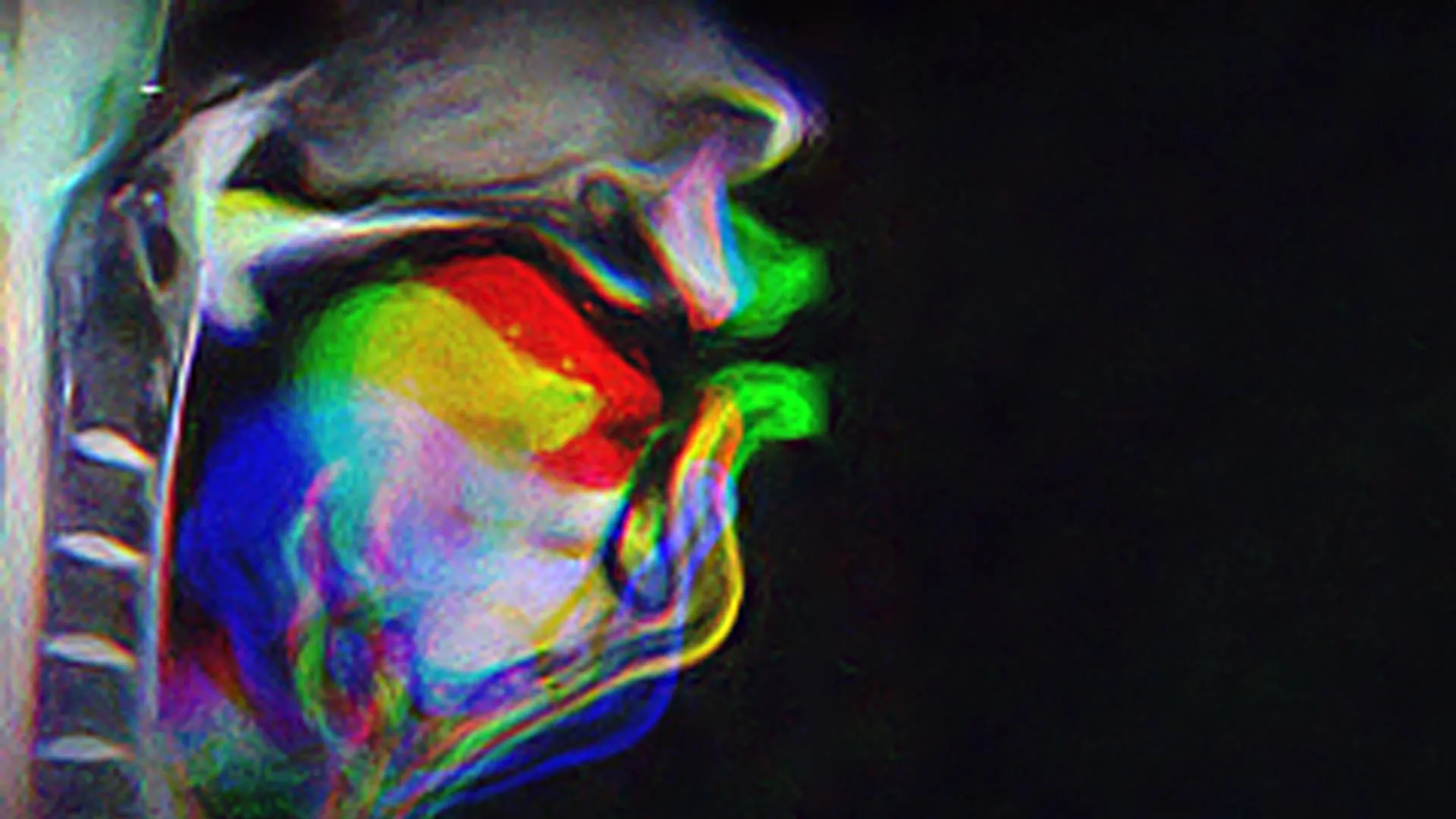 New brain study reveals speech learning works differently than we thought