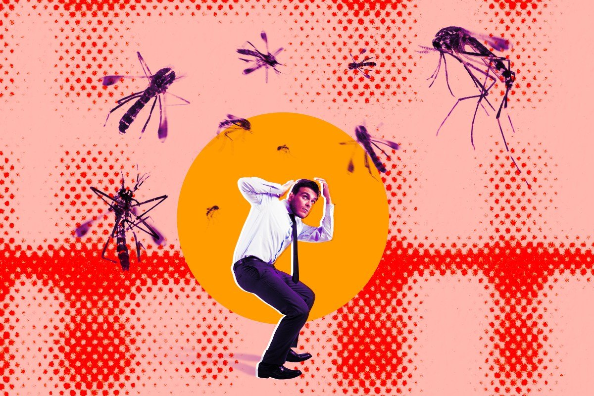 People Are Not Happy About Google's Plan to Release Millions of Bioengineered Mosquitoes Into the Wild