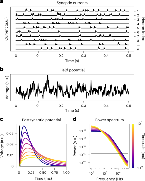 Potential mechanisms and functional significance of aperiodic neural activity