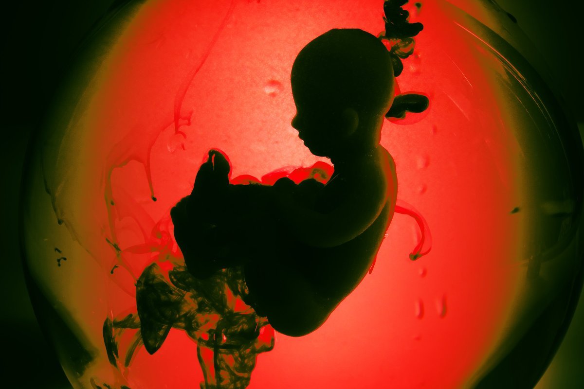 Scientists Concerned Latest Gene Editing of Human Embryos Could "Open the Floodgates"