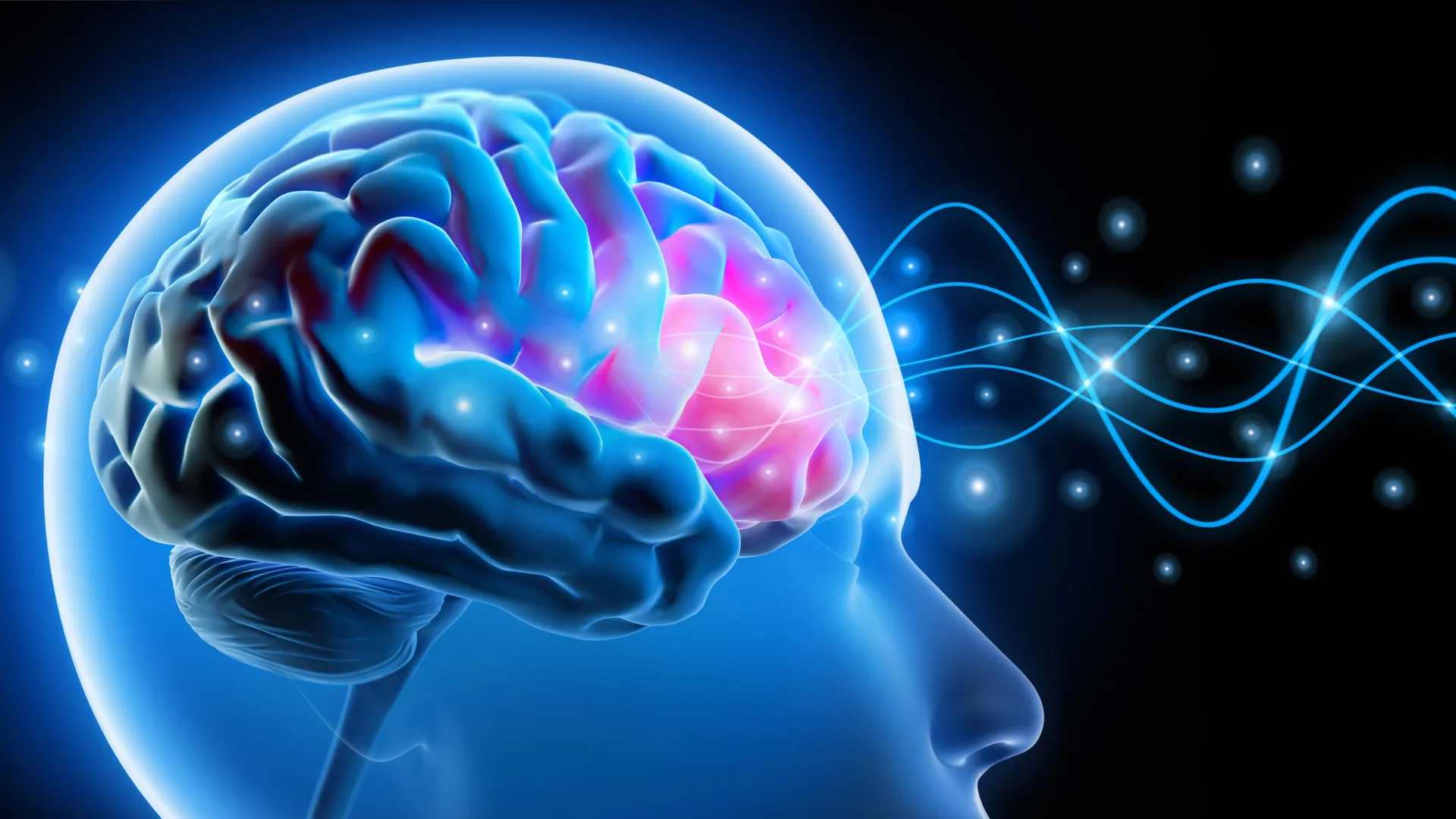 Scientists reverse anxiety by fixing a tiny brain circuit