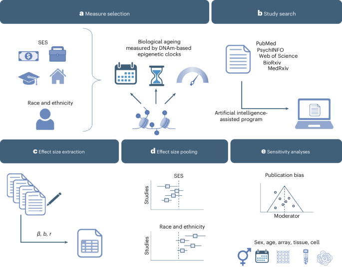 Social determinants of health and epigenetic clocks: a systematic review and meta-analysis of 140 studies