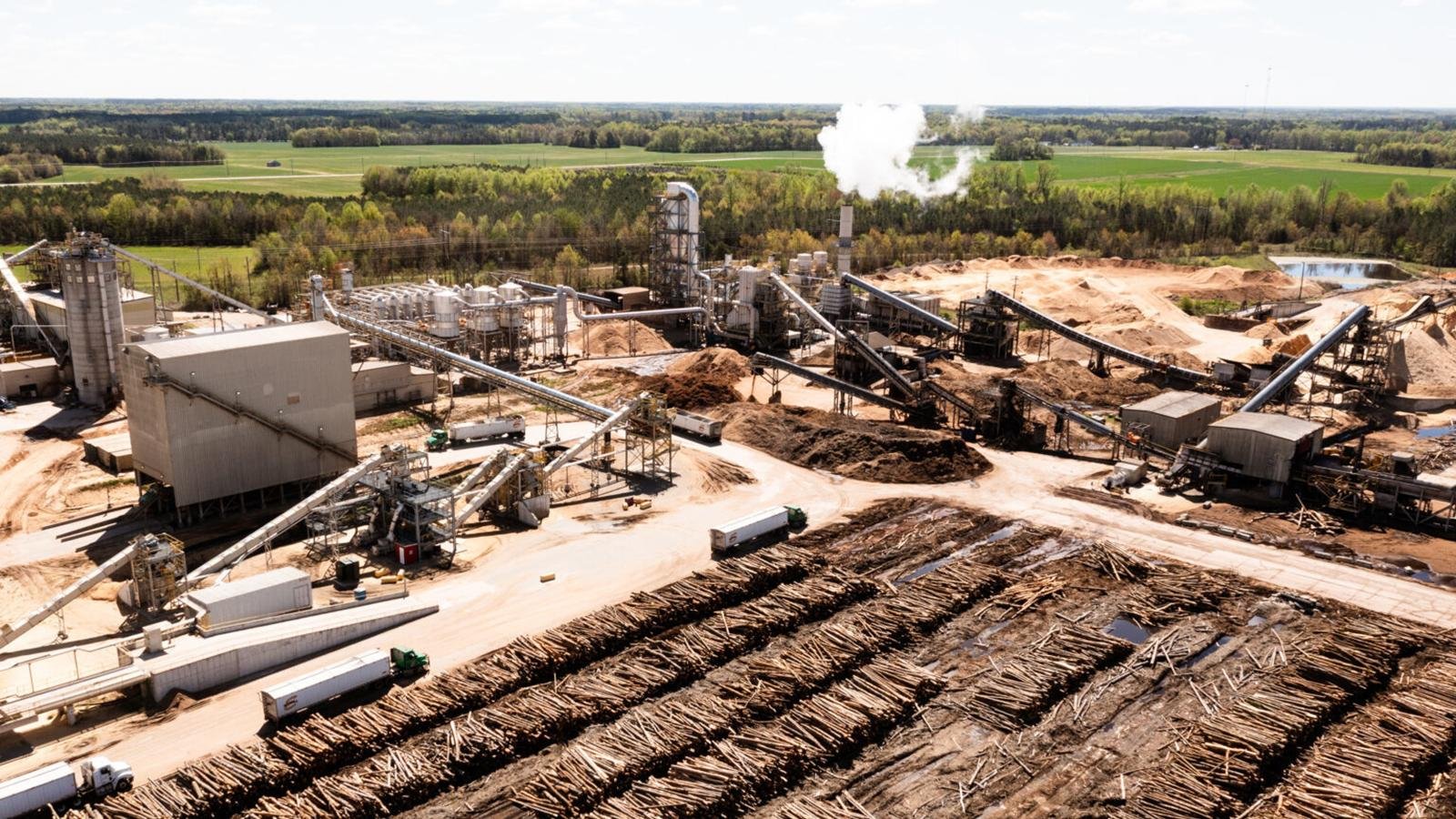 The hidden toll of wood pellet power