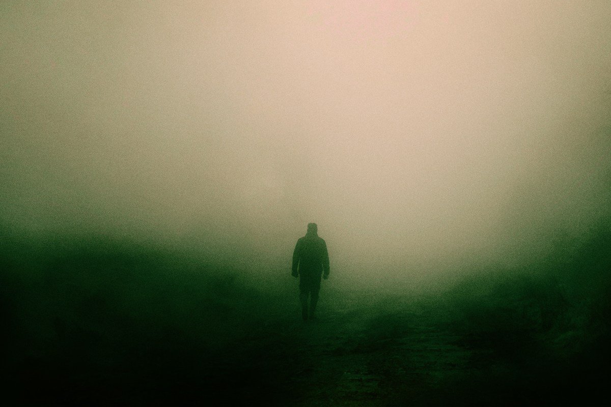 There's Something Living Inside Fog, Scientists Find