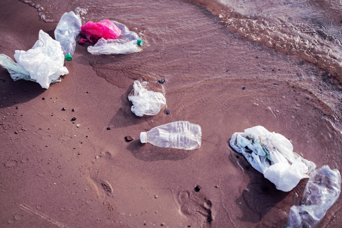 Volunteer Under Investigation for Cleaning Polluted River Without a License, Faces Two Years in Prison