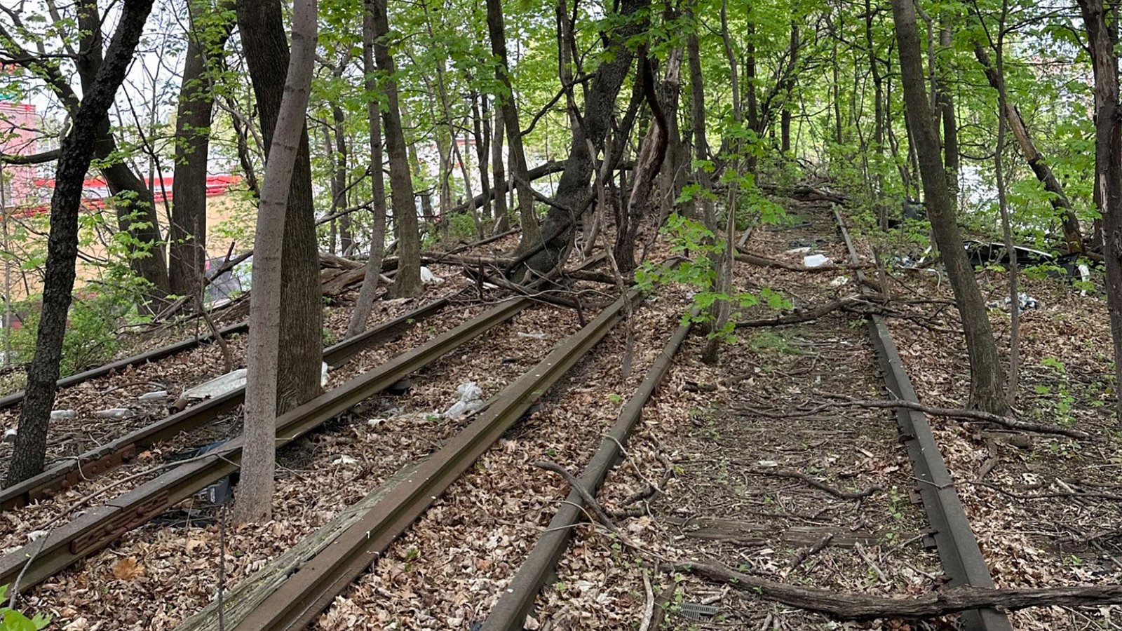 What is the best use for old railroad tracks? New Yorkers have opinions.