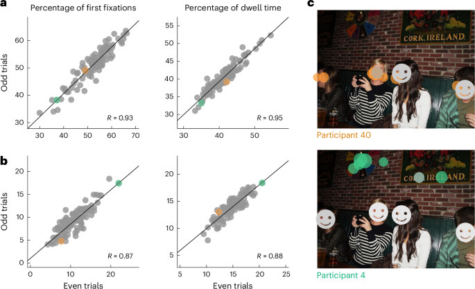 Active vision is linked to category selectivity in the individual brain
