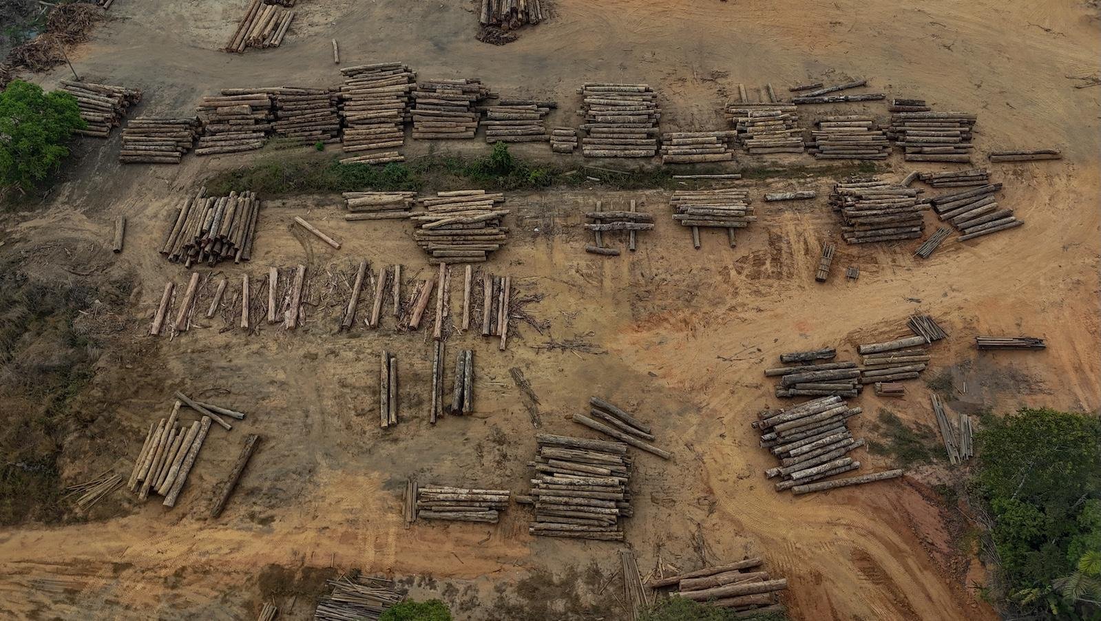 Brazil’s low deforestation in the Amazon is unlikely to last