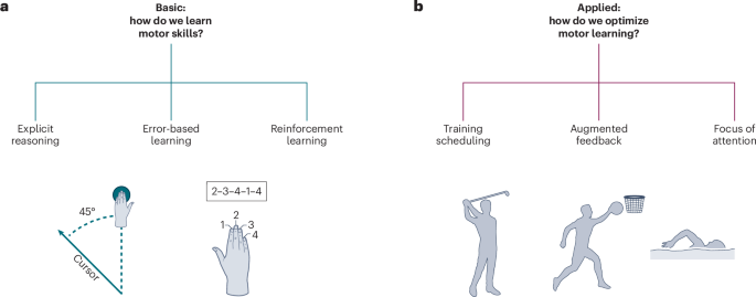Bridging the divide in motor learning research