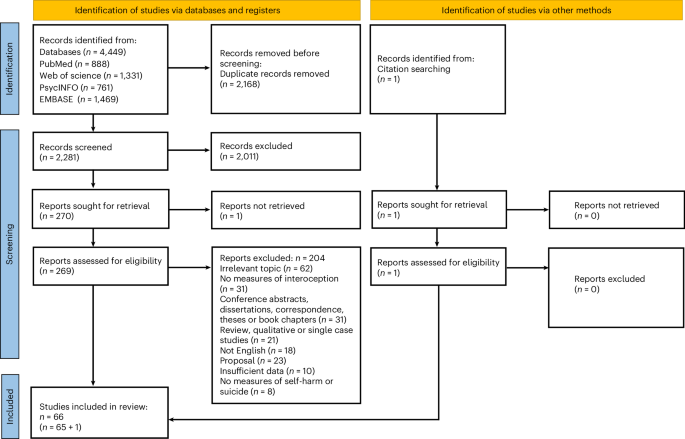 Interoception in self-harm and suicide: a scoping review and meta-analysis