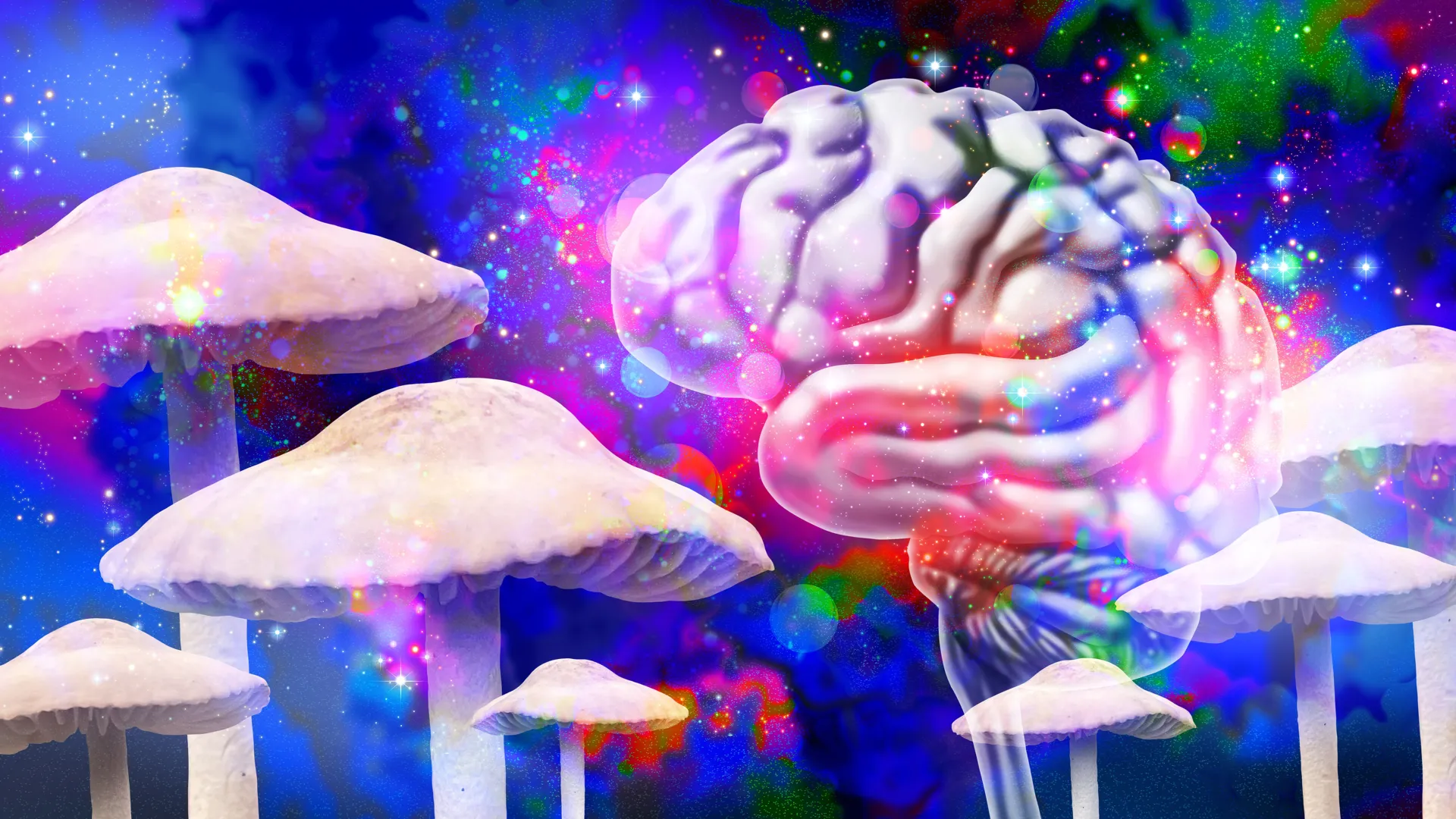Magic mushrooms may reshape the brain long after the trip ends