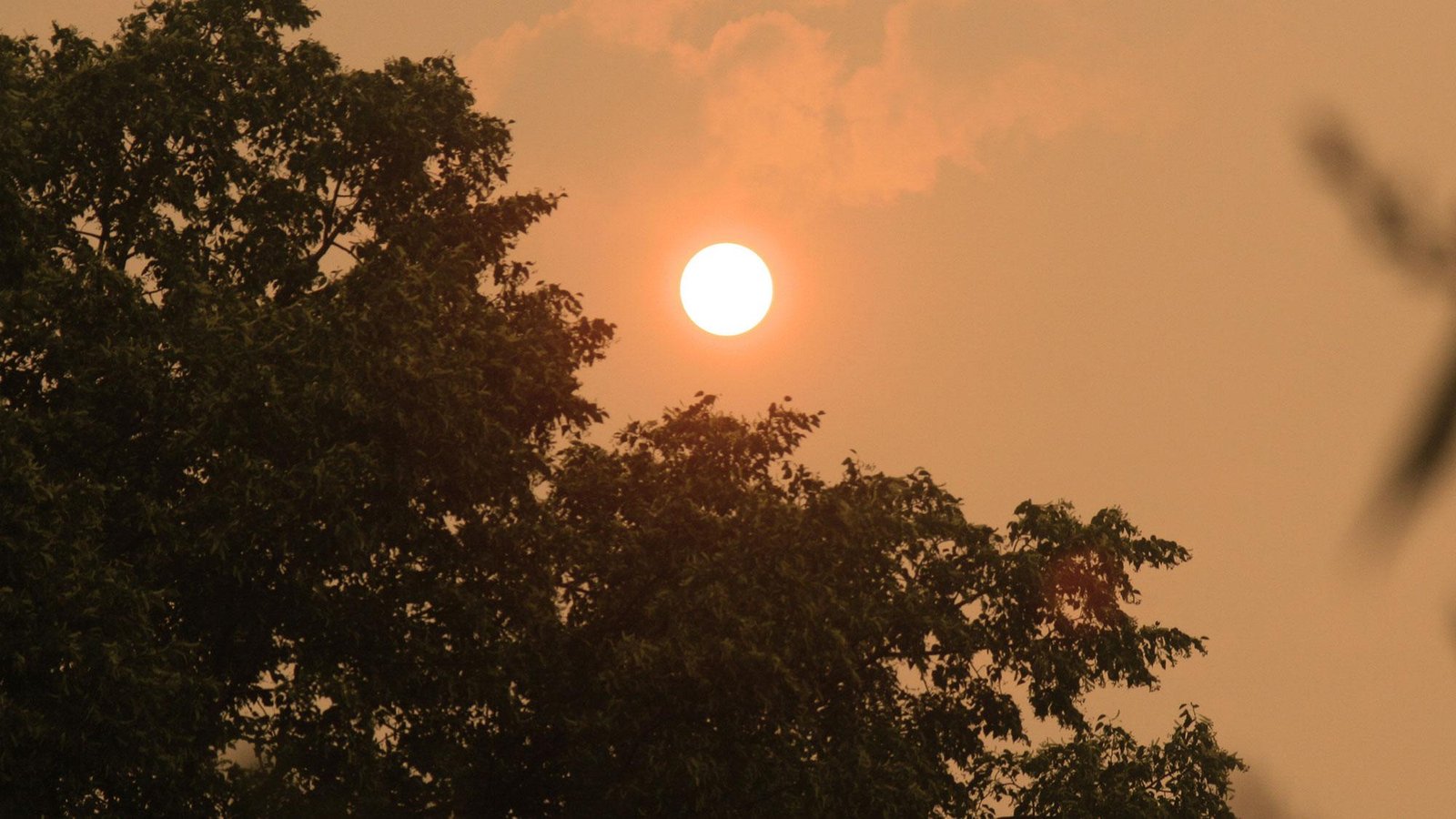 Thousands flee as First Nations bear the brunt of Canada’s fires