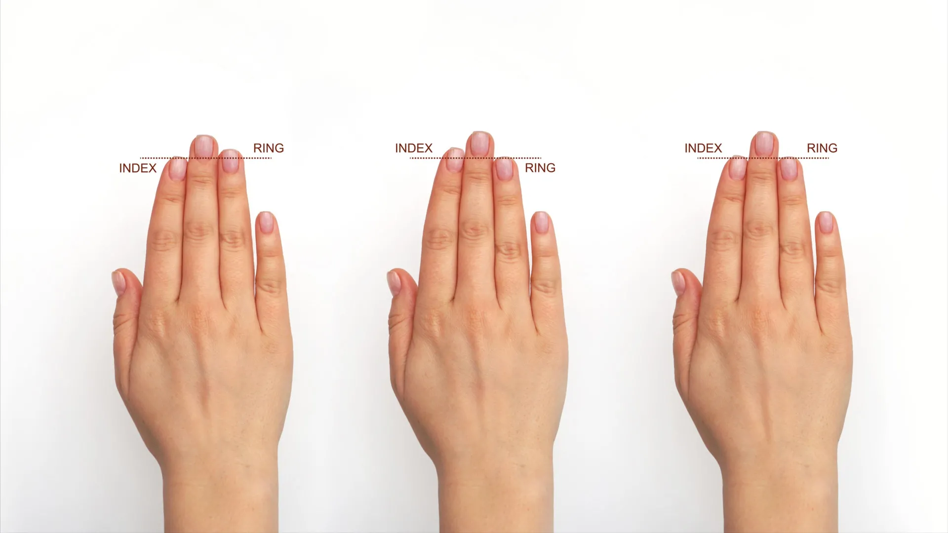 Your fingers may hold a secret of human brain evolution