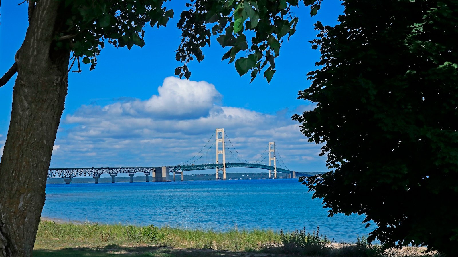 A controversial plan to update Line 5 just suffered a major loss at the Michigan Supreme Court