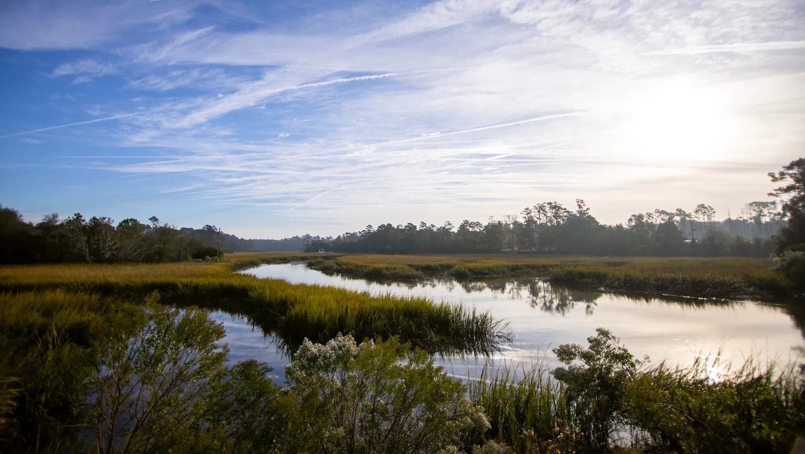 A new plan to preserve Georgia’s marshes: Give them space to migrate