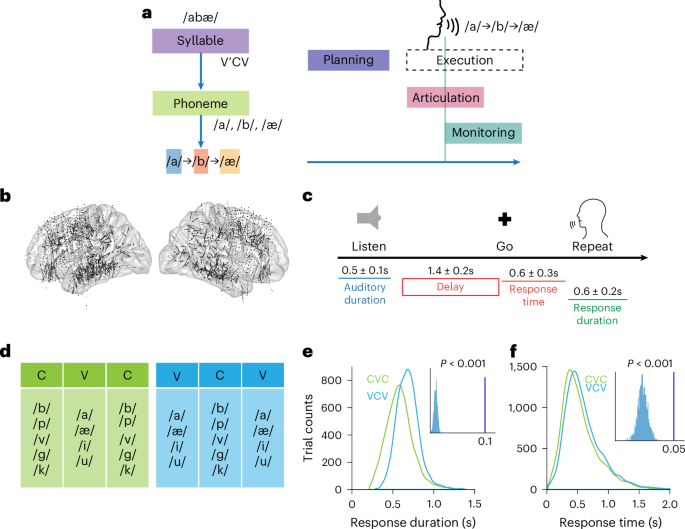 Distinct neural processes link speech planning and execution