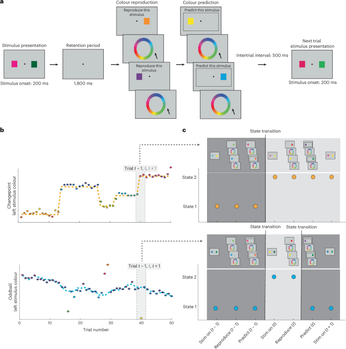 Fluctuations in arousal reflect latent state transitions that facilitate behavioural optimization