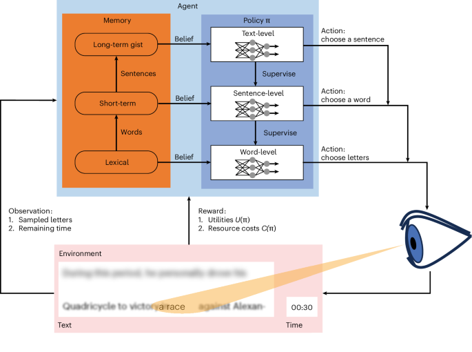 Hierarchical resource rationality explains human reading behaviour