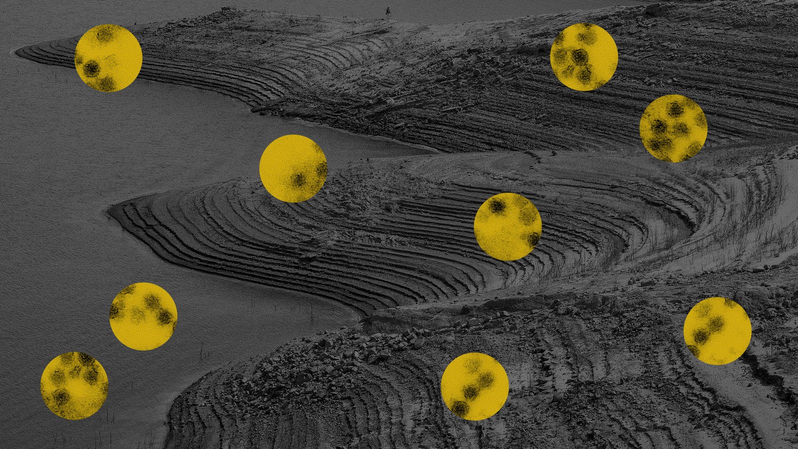 In a drier world, some infectious diseases are unexpectedly thriving