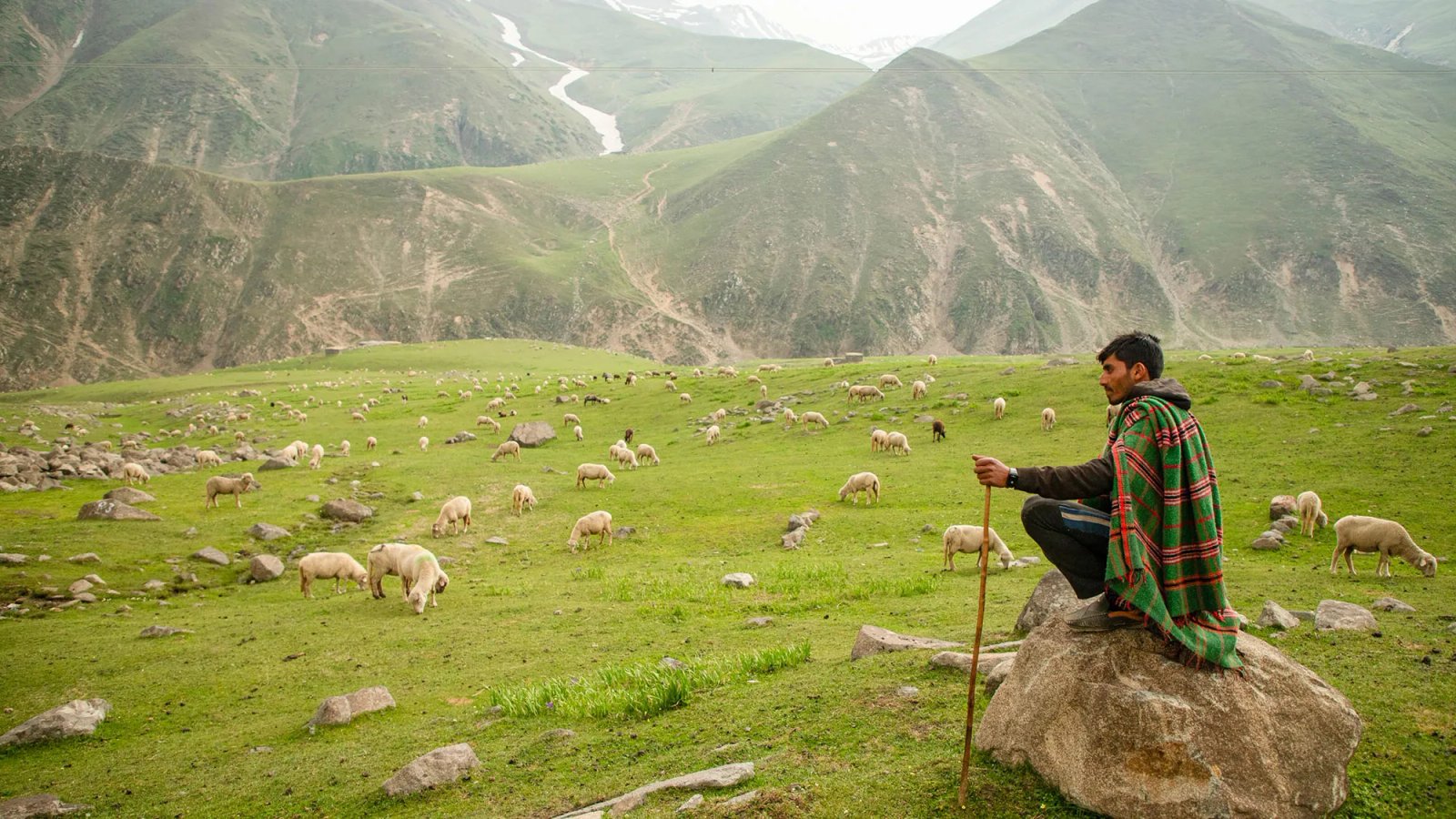 Living with drought has taught pastoralists lessons the world needs