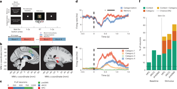Neural dynamics underlying minute-timescale persistent behaviour in the human brain