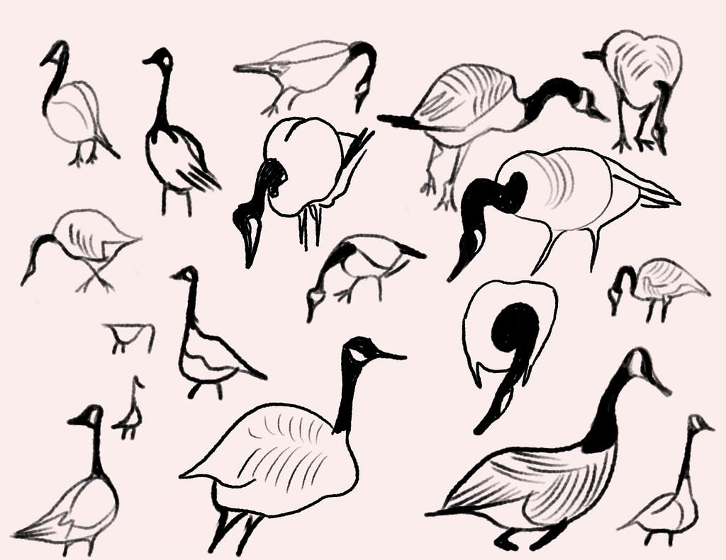 Observing the flock based on how individual biological behaviors aggregate into structured group intelligence (image source: Asa Leonard)